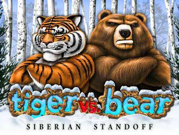 Tiger Vs Bear